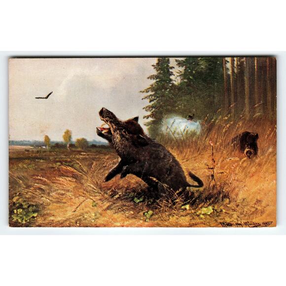 Signed Muller Artist Card Wild Boars in Field Vintage Postcard - Picture 1 of 2